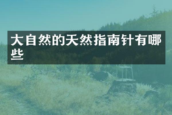 大自然的天然指南针有哪些
