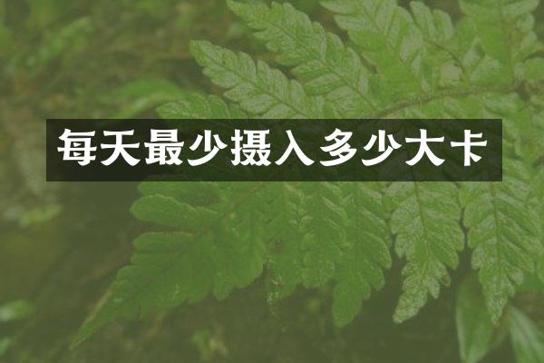 每天最少摄入多少大卡
