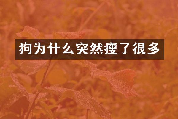 狗为什么突然瘦了很多