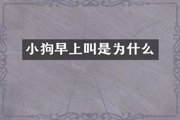 小狗早上叫是为什么