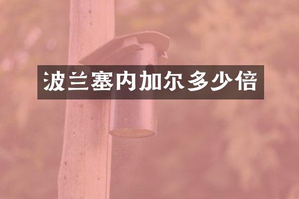 波兰塞内加尔多少倍