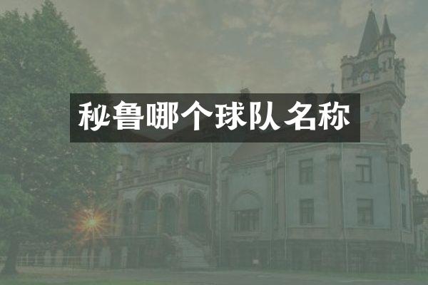 秘鲁哪个球队名称