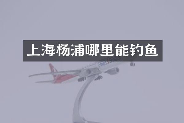上海杨浦哪里能钓鱼