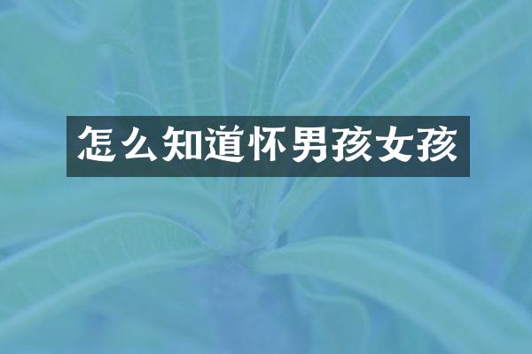 怎么知道怀男孩女孩
