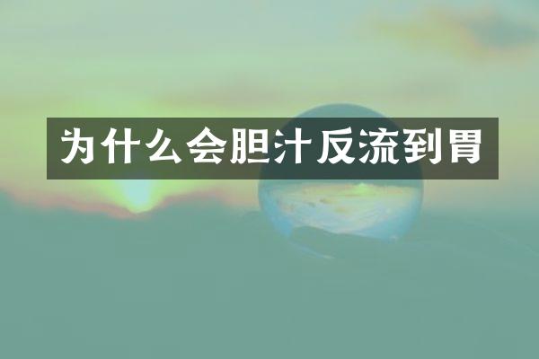 为什么会胆汁反流到胃