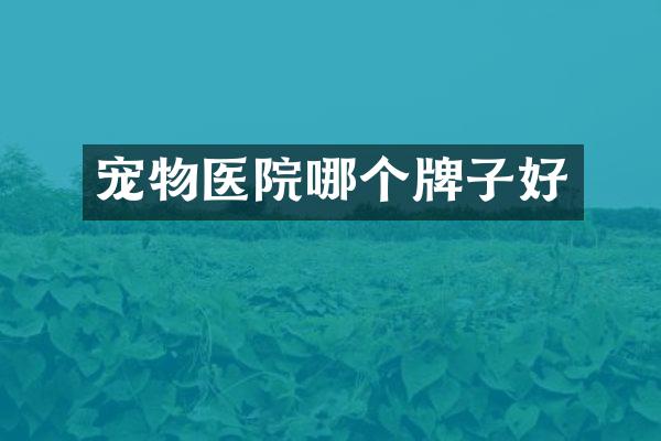 宠物医院哪个牌子好