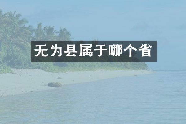 无为县属于哪个省
