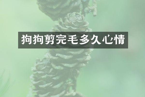 狗狗剪完毛多久心情
