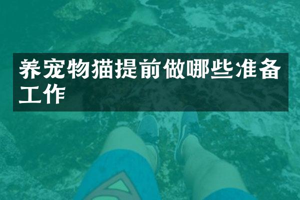 养宠物猫提前做哪些准备工作