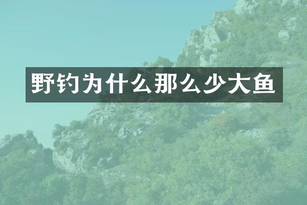 野钓为什么那么少大鱼