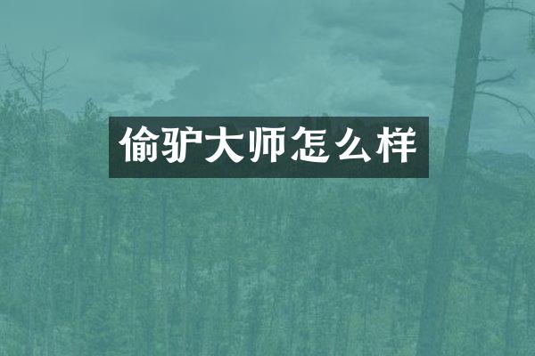 偷驴大师怎么样