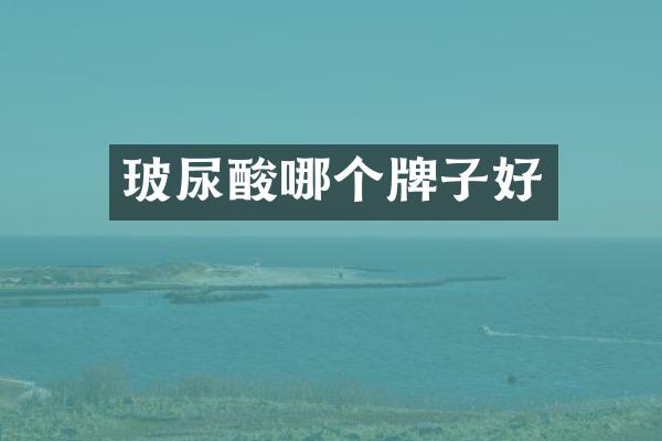 玻尿酸哪个牌子好