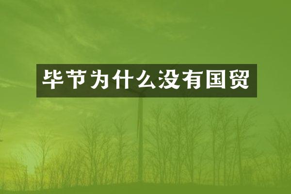 毕节为什么没有国贸