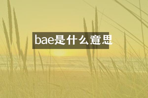 bae是什么意思