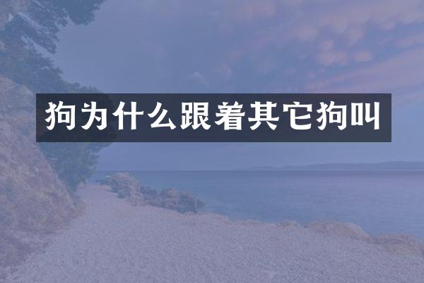 狗为什么跟着其它狗叫