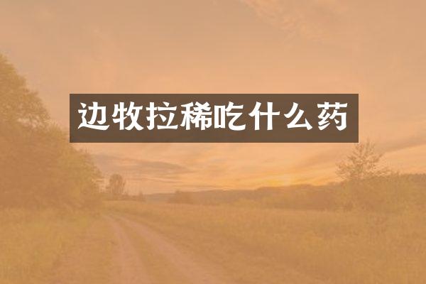 边牧拉稀吃什么药