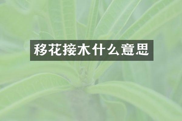 移花接木什么意思