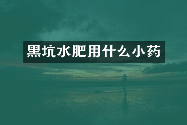 黑坑水肥用什么小药