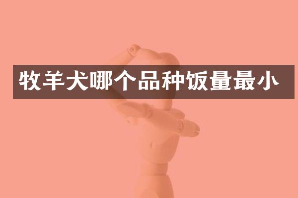 牧羊犬哪个品种饭量最小