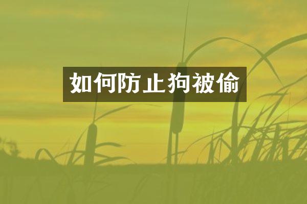 如何防止狗被偷