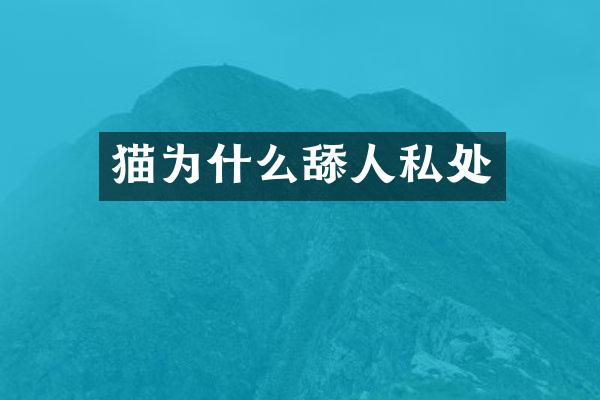 猫为什么舔人