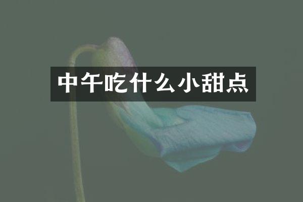 中午吃什么小甜点