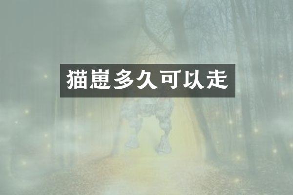 猫崽多久可以走