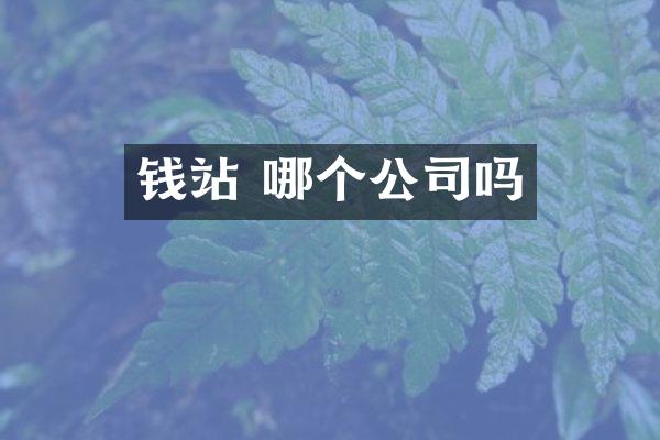  哪个公司吗