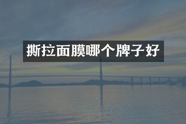 撕拉面膜哪个牌子好