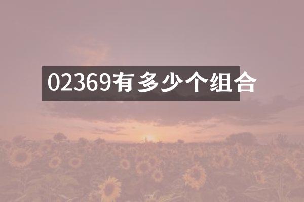02369有多少个组合
