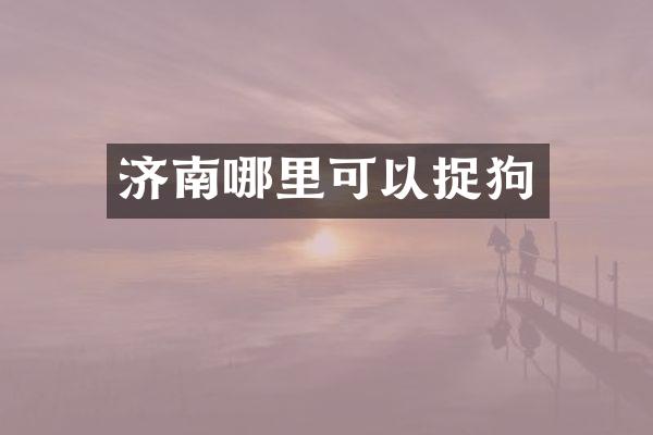 济南哪里可以捉狗