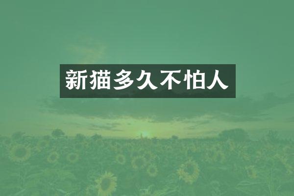 新猫多久不怕人