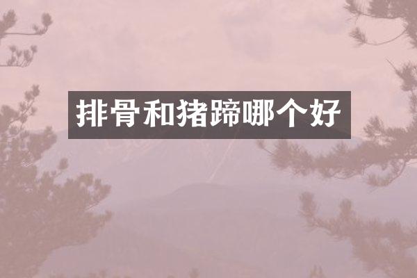 排骨和猪蹄哪个好