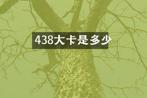 438大卡是多少