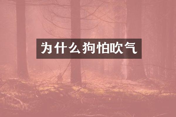 为什么狗怕吹气