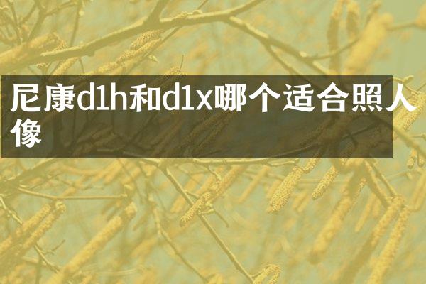 尼康d1h和d1x哪个适合照人像