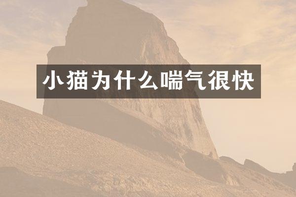 小猫为什么喘气很快