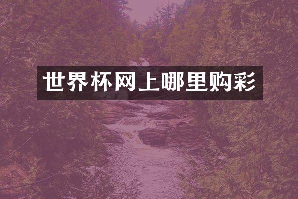 世界杯网上哪里购彩