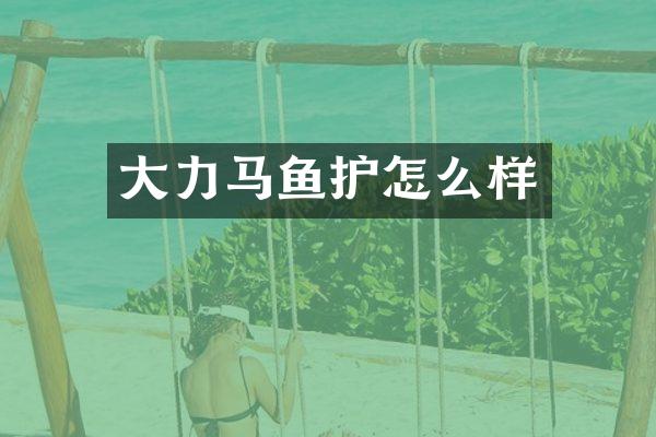 大力马鱼护怎么样