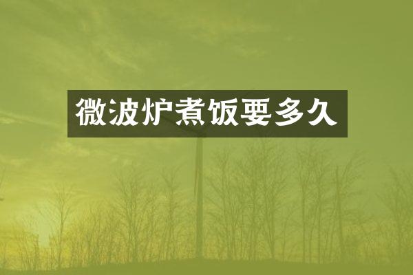 微波炉煮饭要多久