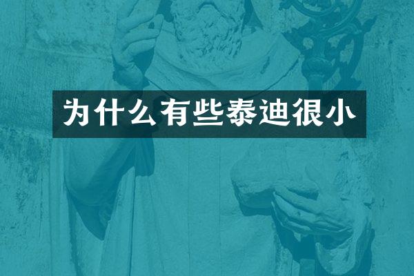 为什么有些泰迪很小
