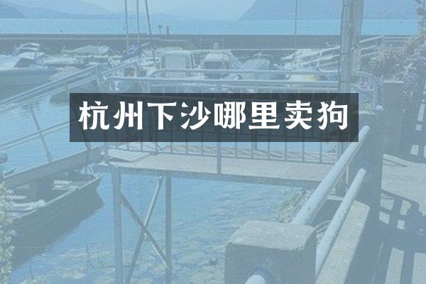 杭州下沙哪里卖狗