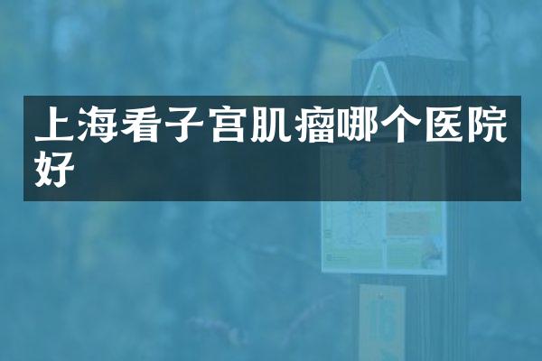 上海看子宫肌瘤哪个医院好