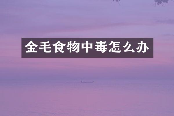 金毛食物中毒怎么办