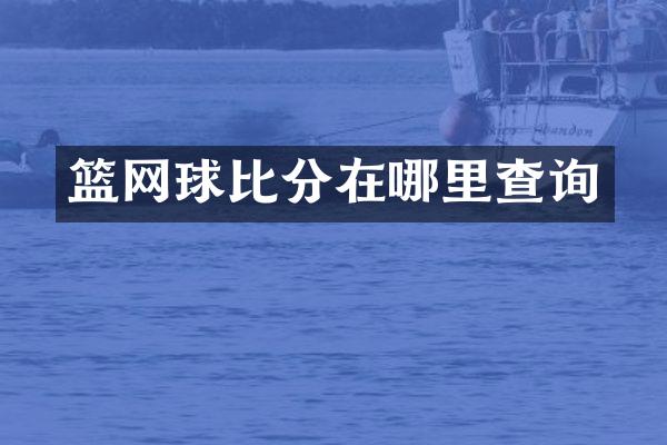 篮网球比分在哪里查询