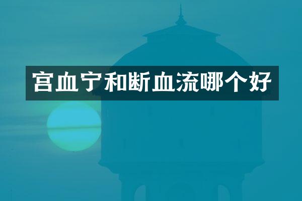 宫血宁和断血流哪个好