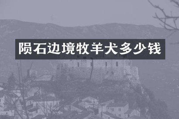 陨石边境牧羊犬多少钱