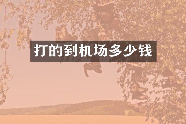 打的到机场多少钱