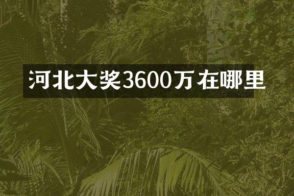 河北大奖3600万在哪里