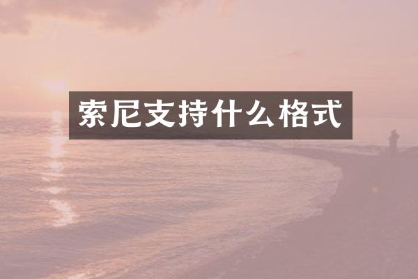 支持什么格式